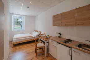 Kalkalpen Apartments Spital Am Pyhrn